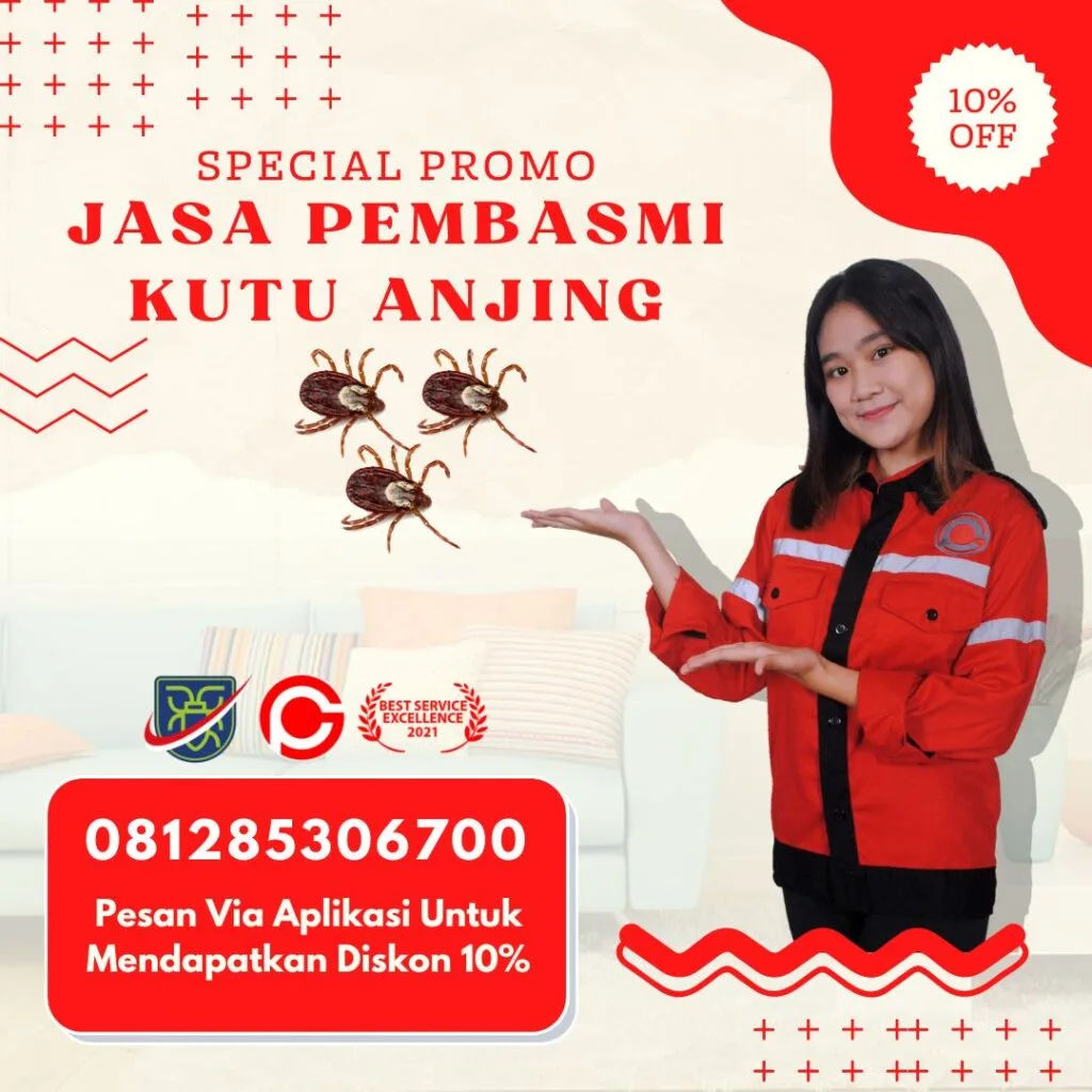 Jasa Pembasmi Kutu Anjing di Semarang