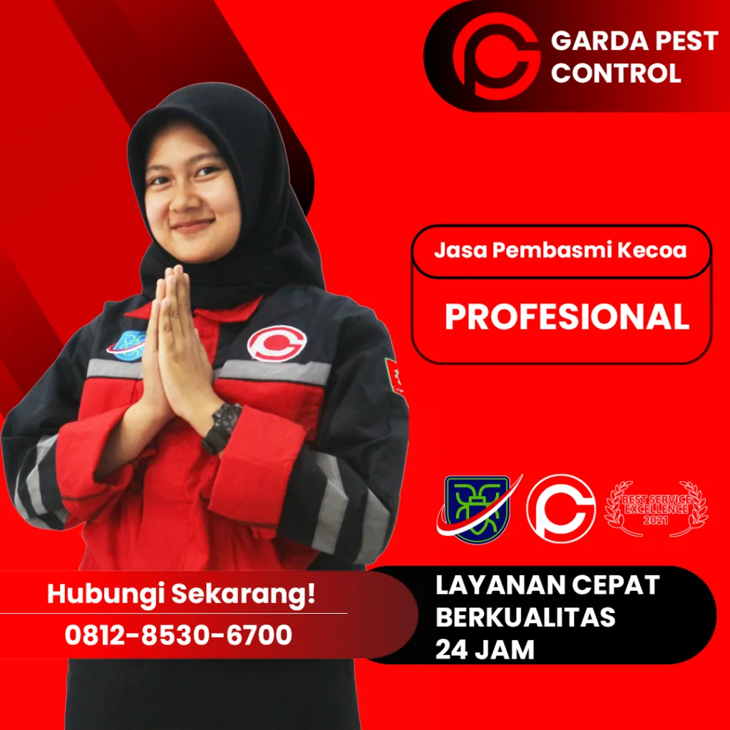 Jasa Pembasmi Kecoa Semarang