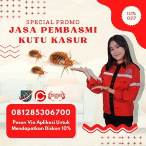 Jasa Pembasmi Kutu Kasur di Cirebon