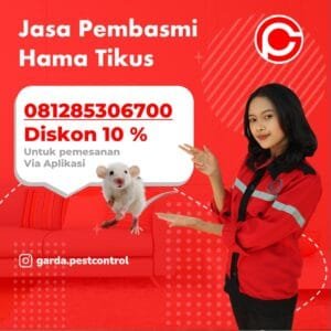 Jasa Pembasmi Tikus di Kudus