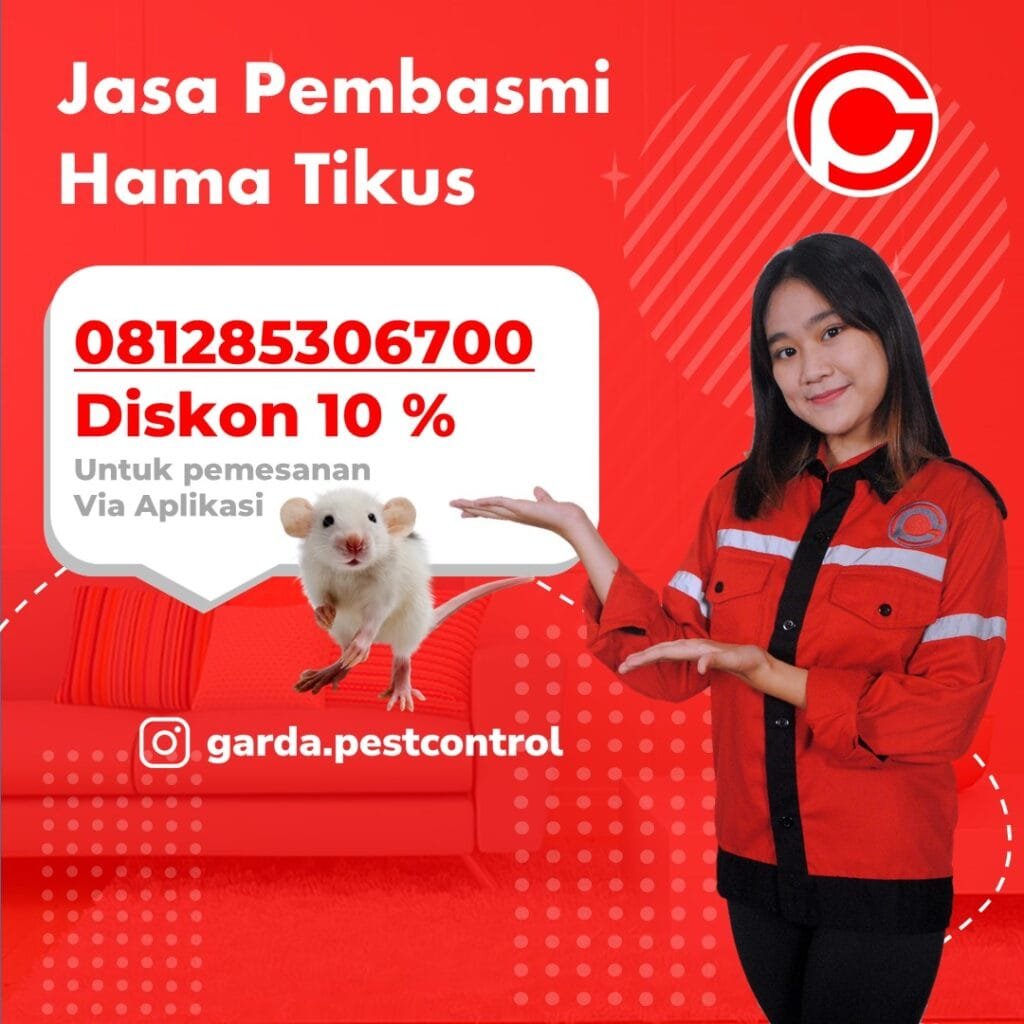 Jasa Pembasmi Tikus di Solo
