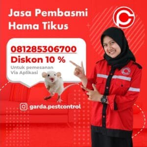 Jasa Pembasmi Tikus di Kudus