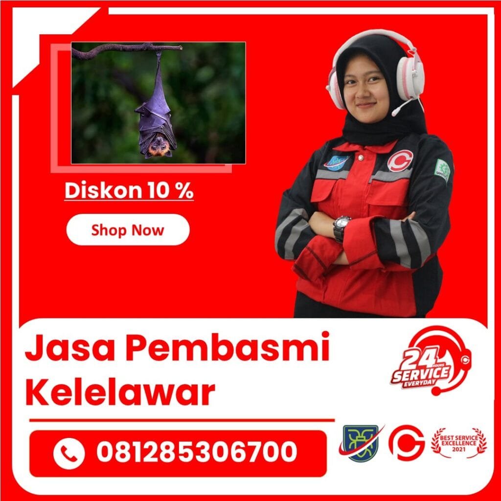 Jasa Pembasmi Kelelawar Jogja