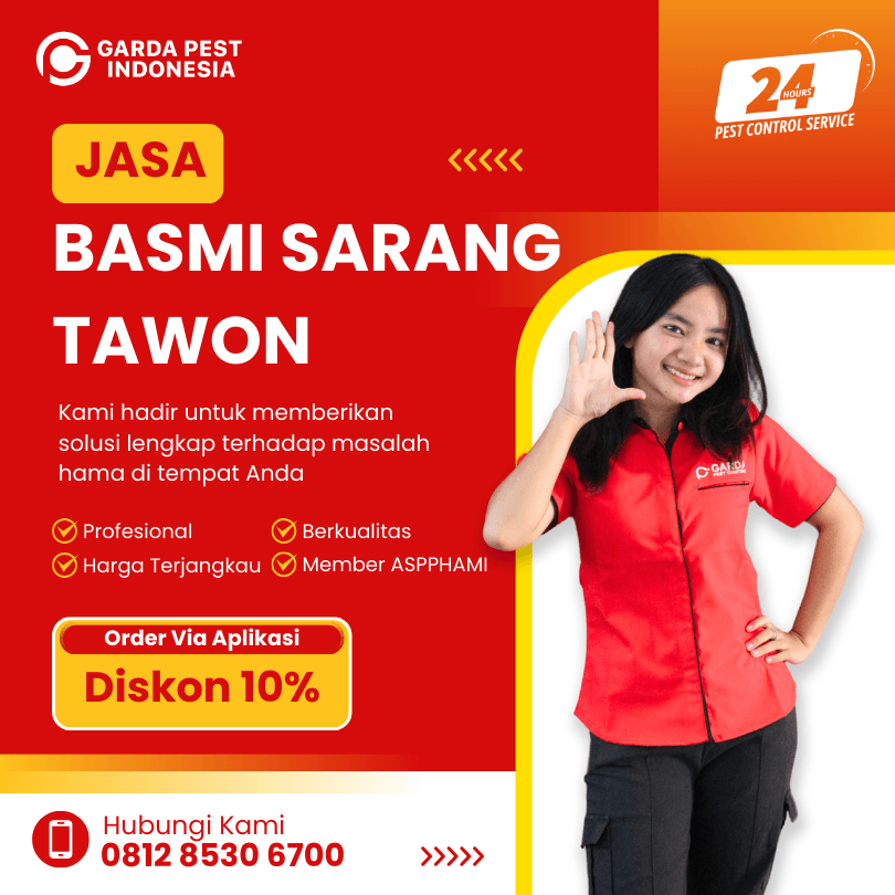 Jasa Pembasmi Sarang Tawon Solo