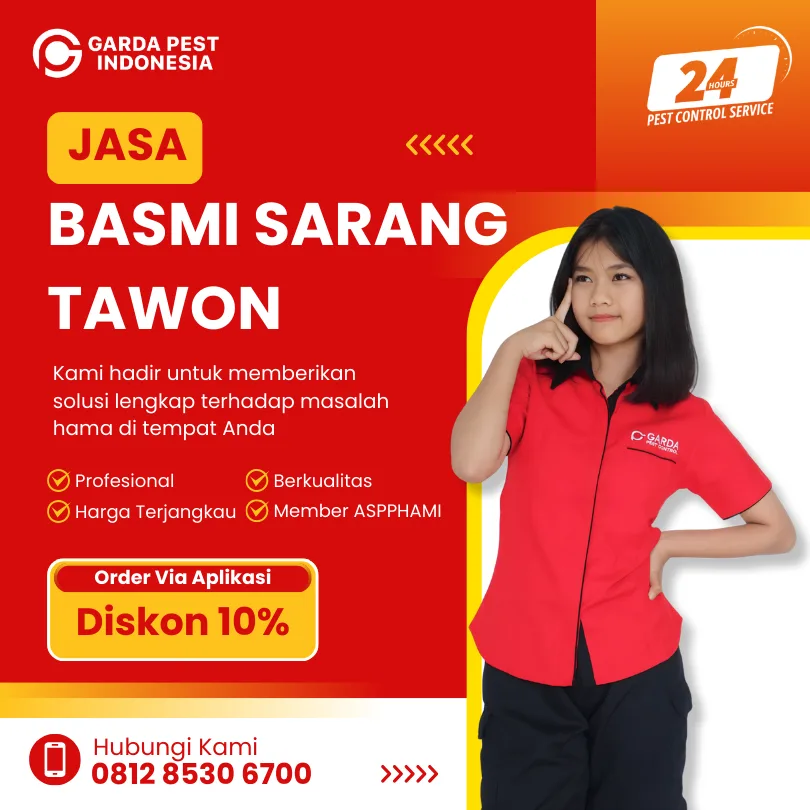Jasa Pembasmi Tawon Bandung