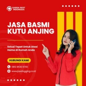 Jasa Pembasmi Kutu Anjing Bandung