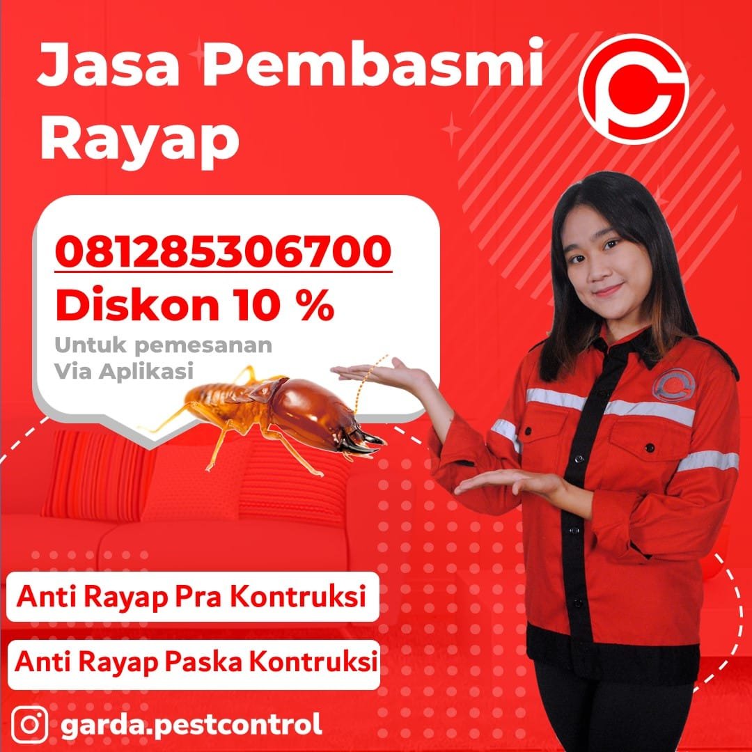 Harga Jasa Anti Rayap