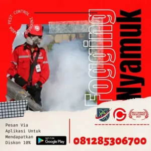 Jasa Fogging Chikungunya di Cipeujeuh Bandung