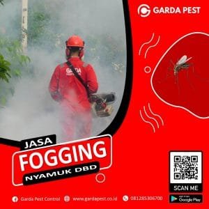 Layanan Jasa Fogging Nyamuk di Bali