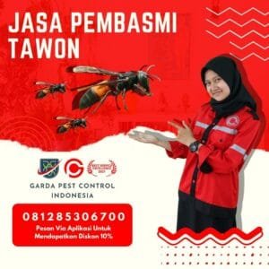 Jasa Pembasmi Sarang Tawon Bandung