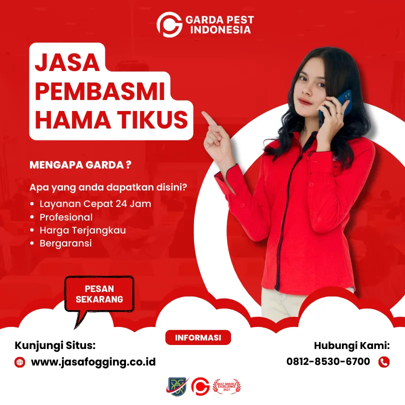 Jasa Pembasmi Tikus di Jakarta