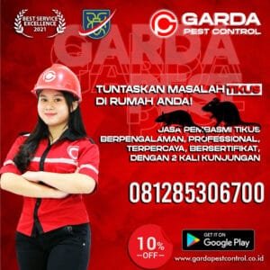 Jasa Pembasmi Tikus di Makassar