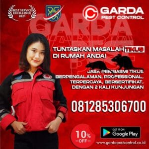 Jasa Pembasmi Tikus di Tegal