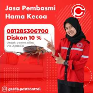 Jasa Pembasmi Kecoa di Semarang