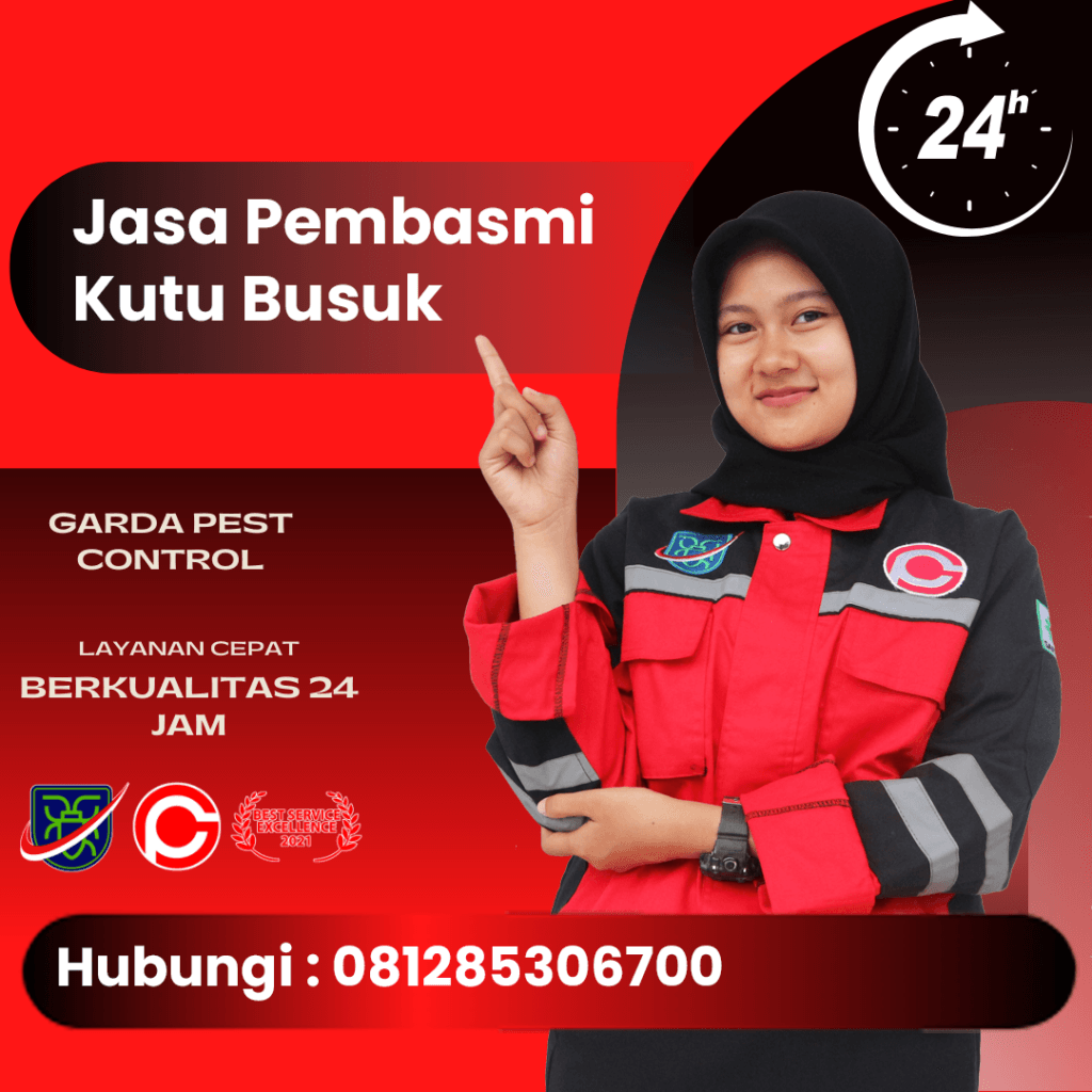 Jasa Pembasmi Kutu Busuk Daerah Bali