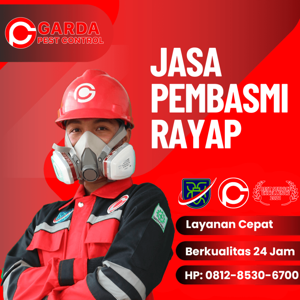 Jasa Pembasmi Rayap Area Bali