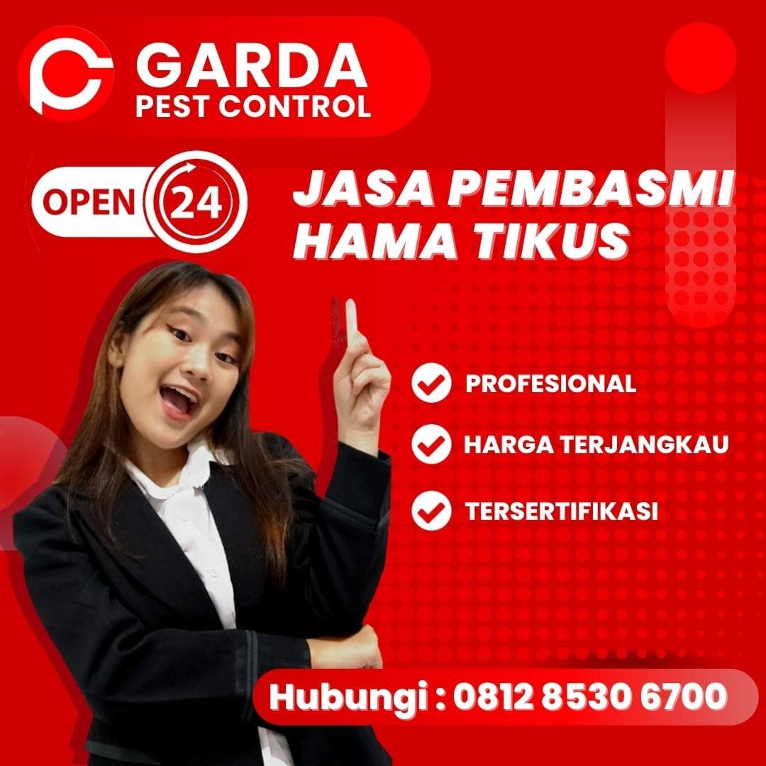 Jasa Pembasmi Tikus