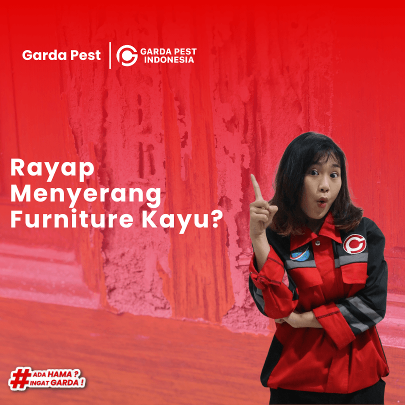 Jasa Anti Rayap di Jakarta Barat Jaminan Garansi