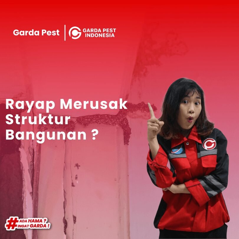 Jasa Pembasmi Rayap di Jakarta Bergaransi Resmi