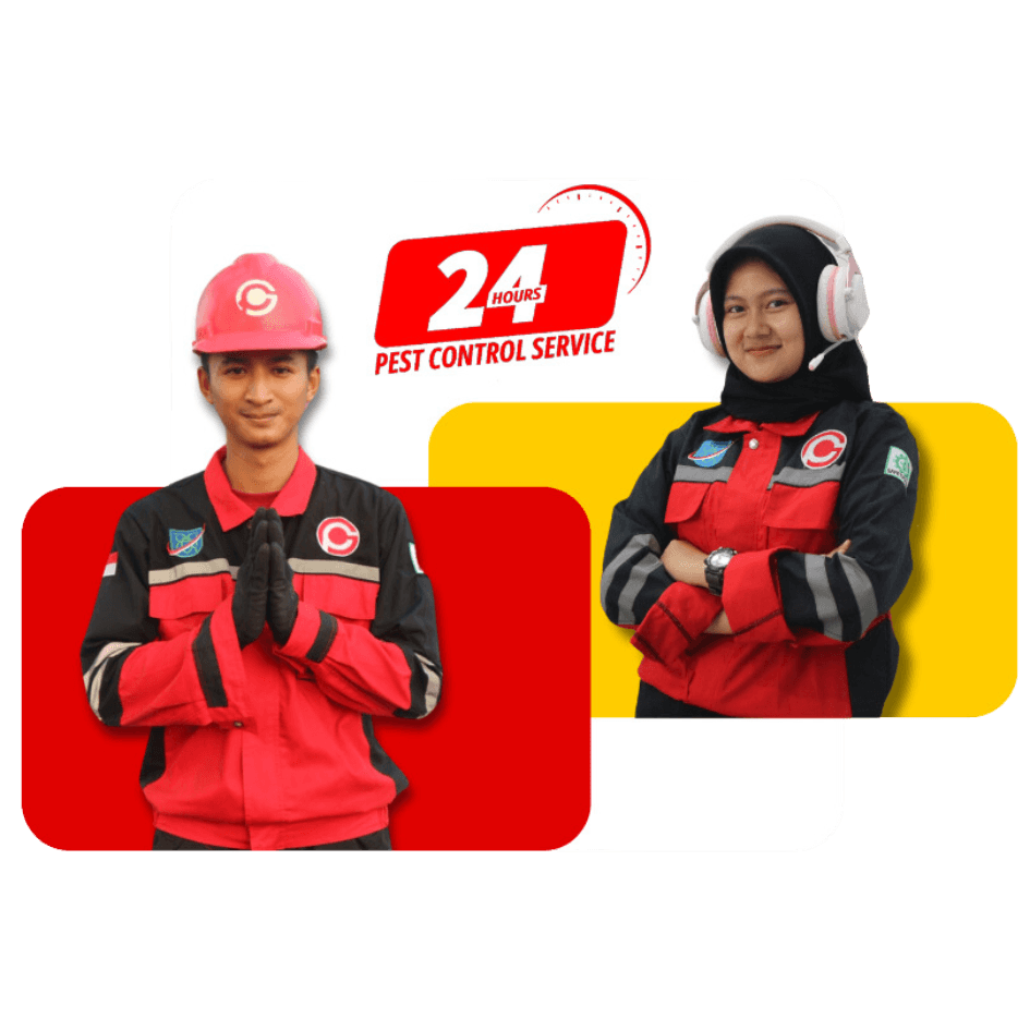 Garda Pest Jasa Anti Rayap Profesional
