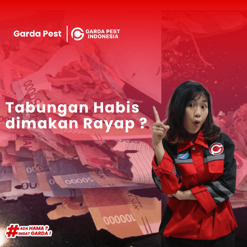 Jasa Suntik Anti Rayap di Malang Garansi Hingga 3 Tahun