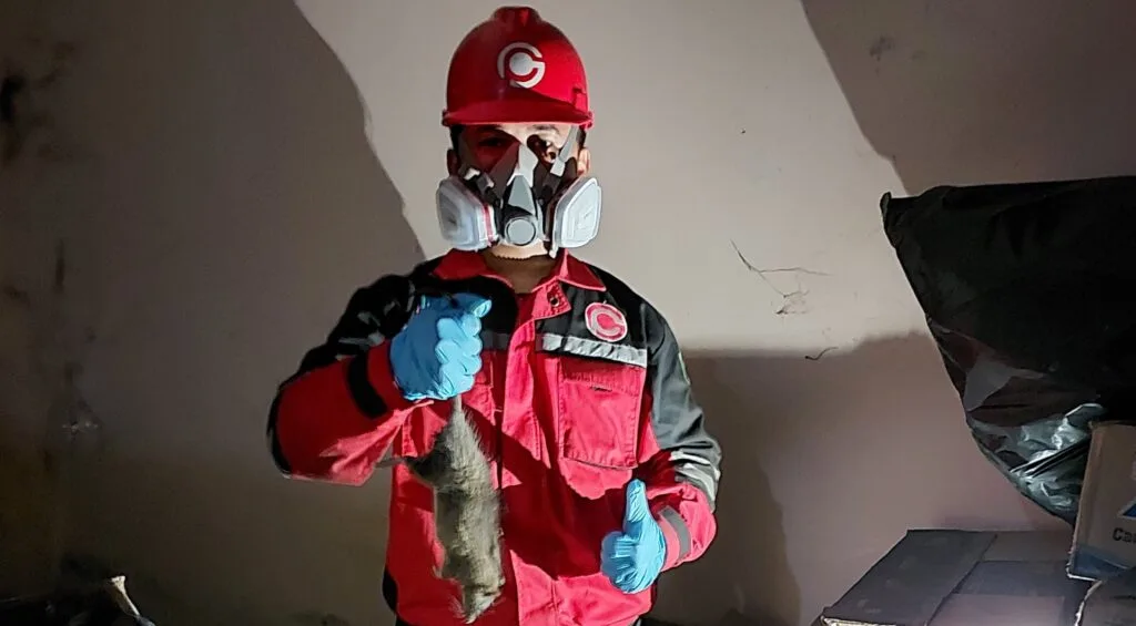 Proses Jasa Pengusir Tikus Garda Pest