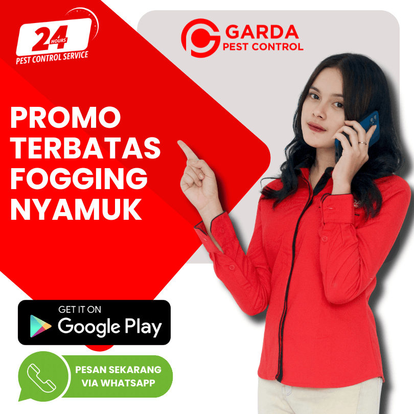 Jasa Fogging Nyamuk di Sukun Malang Berkualitas Premium