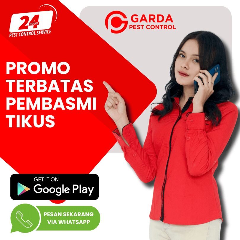 Harga Jasa Pembasmi Tikus