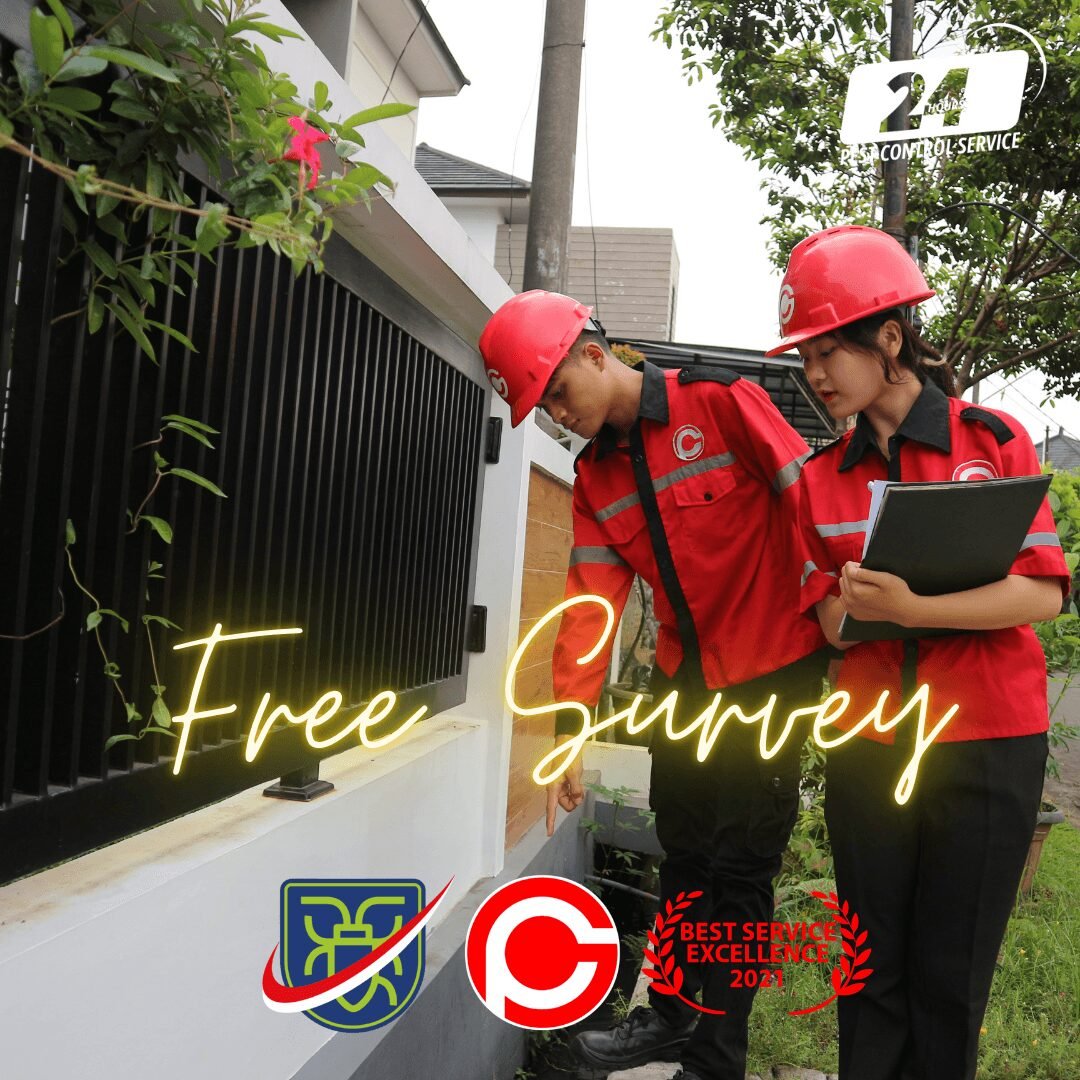 Jasa Pembasmi Rayap Bandung untuk Rumah dan Industri