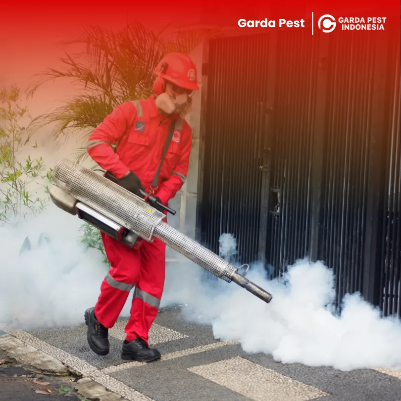 Jasa Fogging Nyamuk Terdekat