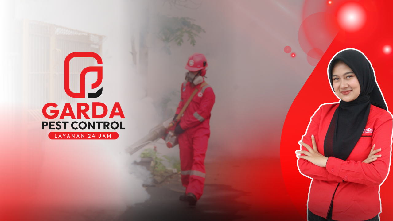 Jasa Fogging Nyamuk di Depok Harga Murah dan Berkualitas