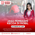 Jasa Pembasmi Kecoa Solo