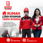 Rincian Biaya Jasa Fogging Nyamuk di Bandung dan Panduan Tarif Layanan